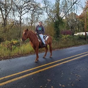 Meet your Posher, Victoria